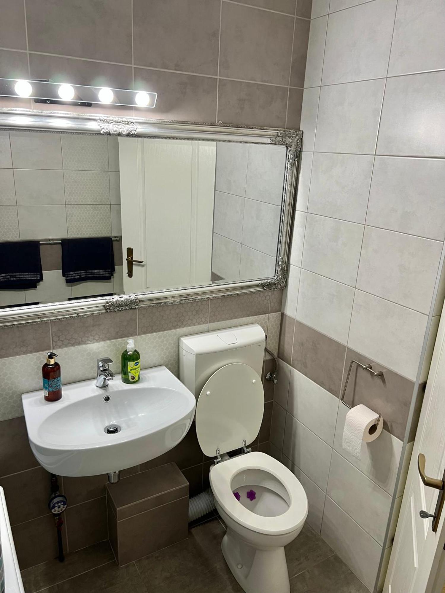 Aparthotel Aurel Vlaicu City Center Клуж-Напока Экстерьер фото